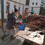 Kinder helfen mit beim Laub auf einen Anhänger laden